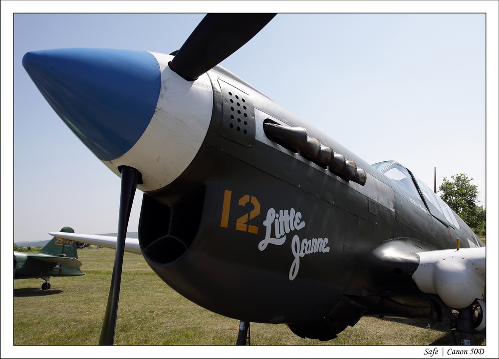 2010   05   Ferte Alais   071